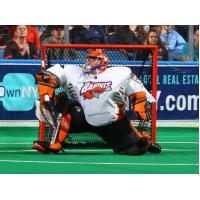 Goaltender Alex Buque with the Buffalo Bandits