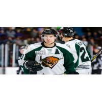 Utah Grizzlies defenseman Taylor Richart