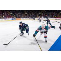 Kelowna Rockets vs. the Seattle Thunderbirds