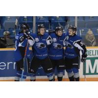 Saint John Sea Dogs celebrate a goal against the Cape Breton Screaming Eagles