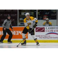 Defenceman Theo Calvas with the Sarnia Sting