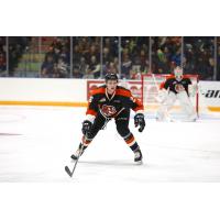 Defenceman Dalton Gally with the Medicine Hat Tigers