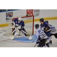 Sioux Falls Stampede goaltender blocks a shot