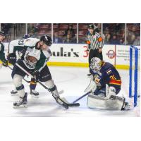 Goaltender Joe Cannata with the Colorado Eagles facing the Utah Grizzlies