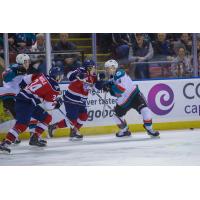 Kelowna Rockets vs. the Tri-City Americans