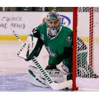 Goaltender Philippe Desrosiers with the Texas Stars