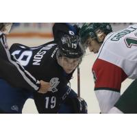 Saint John Sea Dogs and Halifax Mooseheads face off