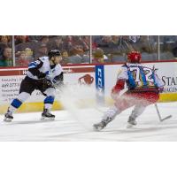 Dean Chouinard of the Allen Americans (72) faces the Wichita Thunder