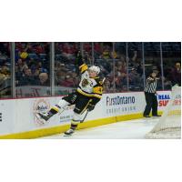 Hamilton Bulldogs captain Mackenzie Entwistle celebrates with the fans