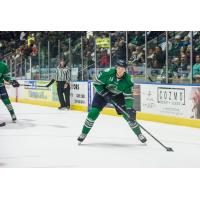 Florida Everblades forward Steven Lorentz