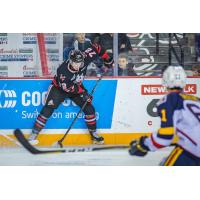 Niagara IceDogs handle the puck vs. the Barrie Colts