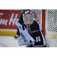 Vancouver Giants goaltender David Tendeck