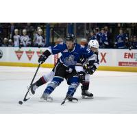 Vancouver Giants battle the Victoria Royals