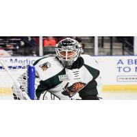 Utah Grizzlies goaltender Joe Cannata