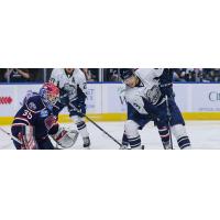 South Carolina Stingrays take on the Jacksonville IceMen